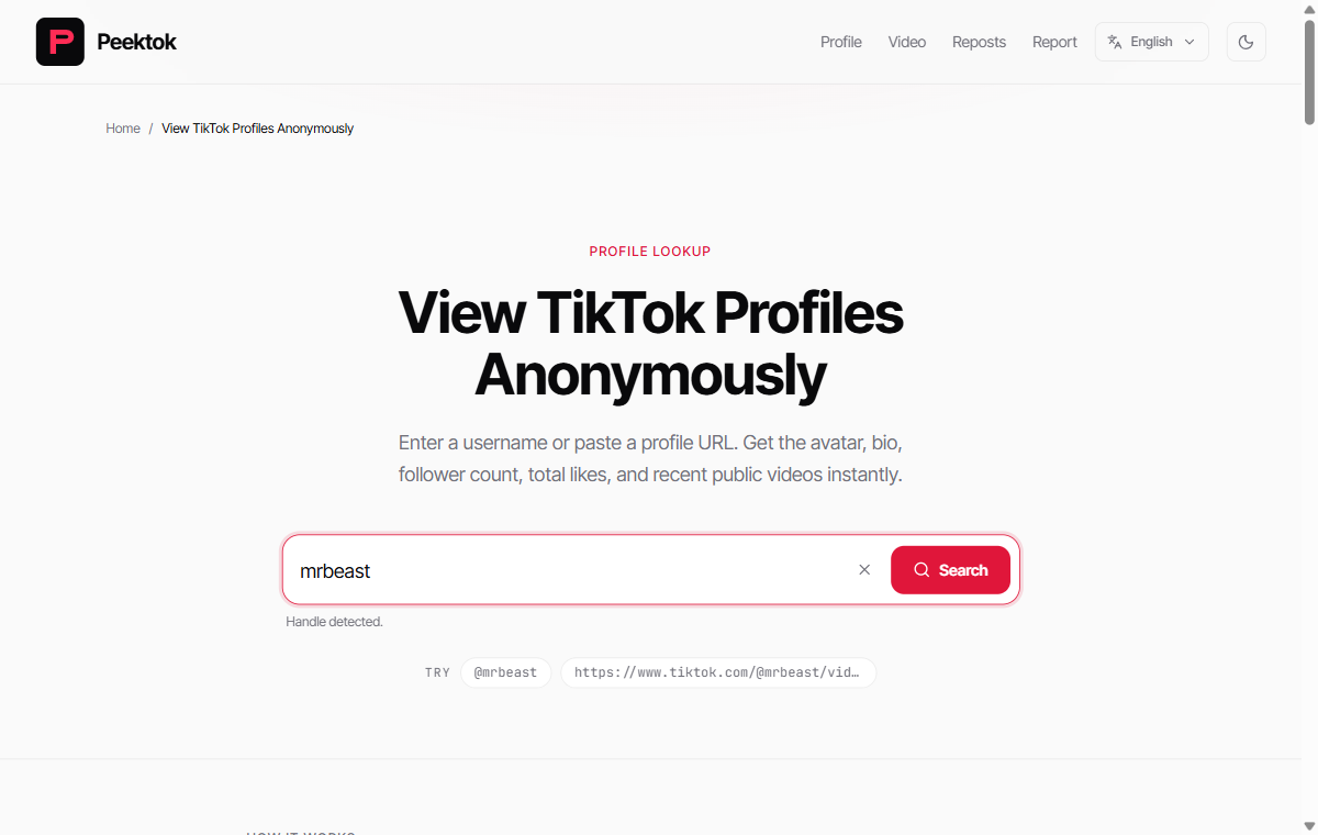 Peektok profile viewer with the public handle mrbeast entered before search