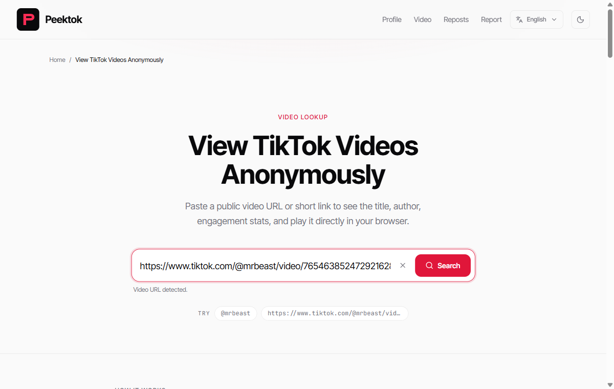 Peektok video viewer with a complete public TikTok video URL entered before search